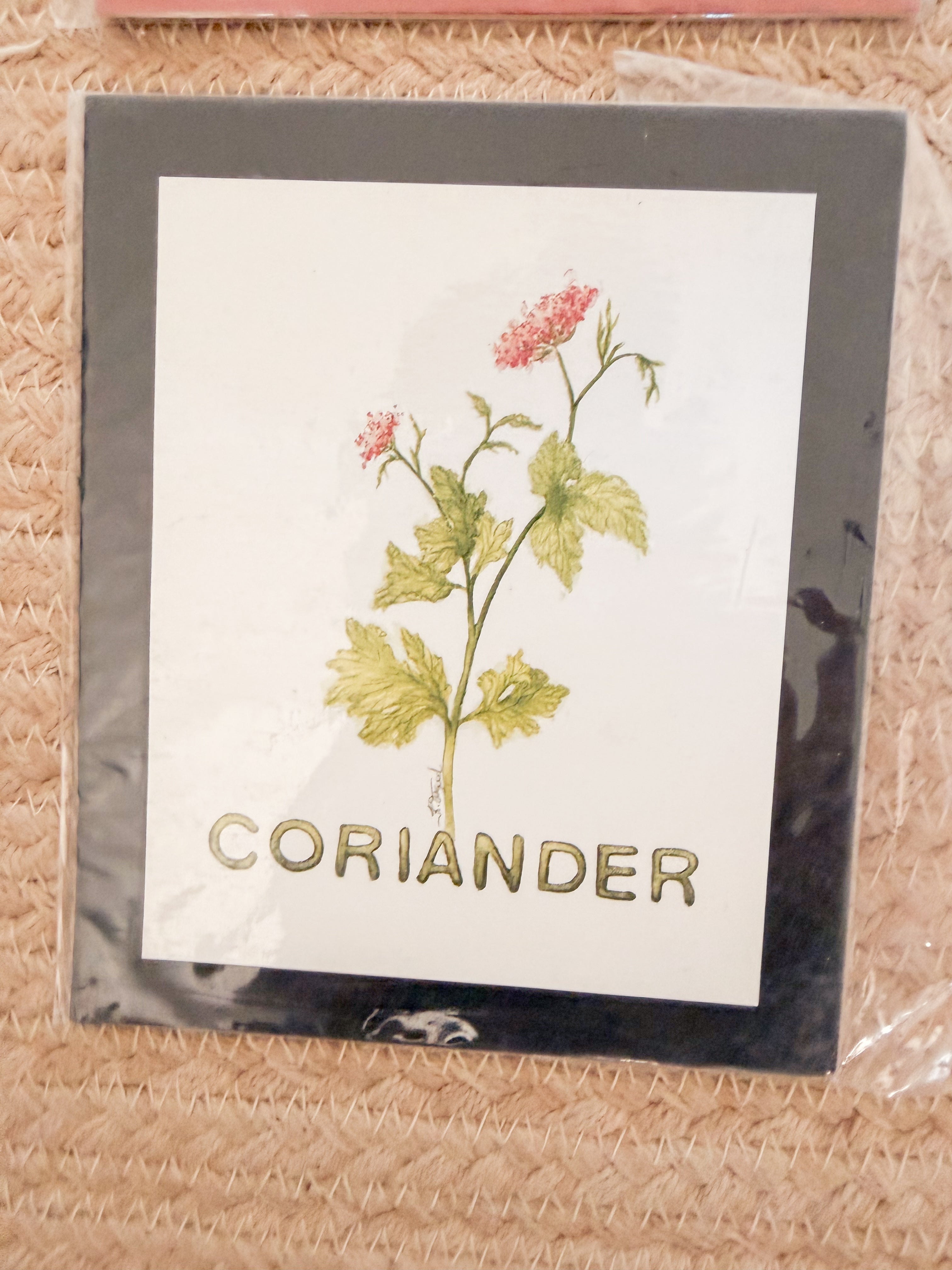 Vintage Vegetable Prints