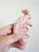 Load image into Gallery viewer, Little Onyx Kangaroo
