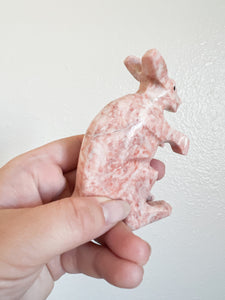 Little Onyx Kangaroo