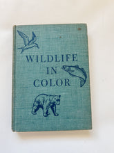 Load image into Gallery viewer, Wildlife in Color Book
