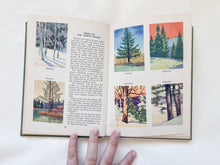 Load image into Gallery viewer, Wildlife in Color Book
