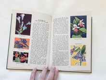 Load image into Gallery viewer, Wildlife in Color Book
