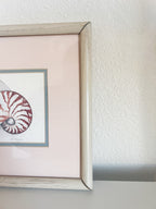 Framed Seashell Print