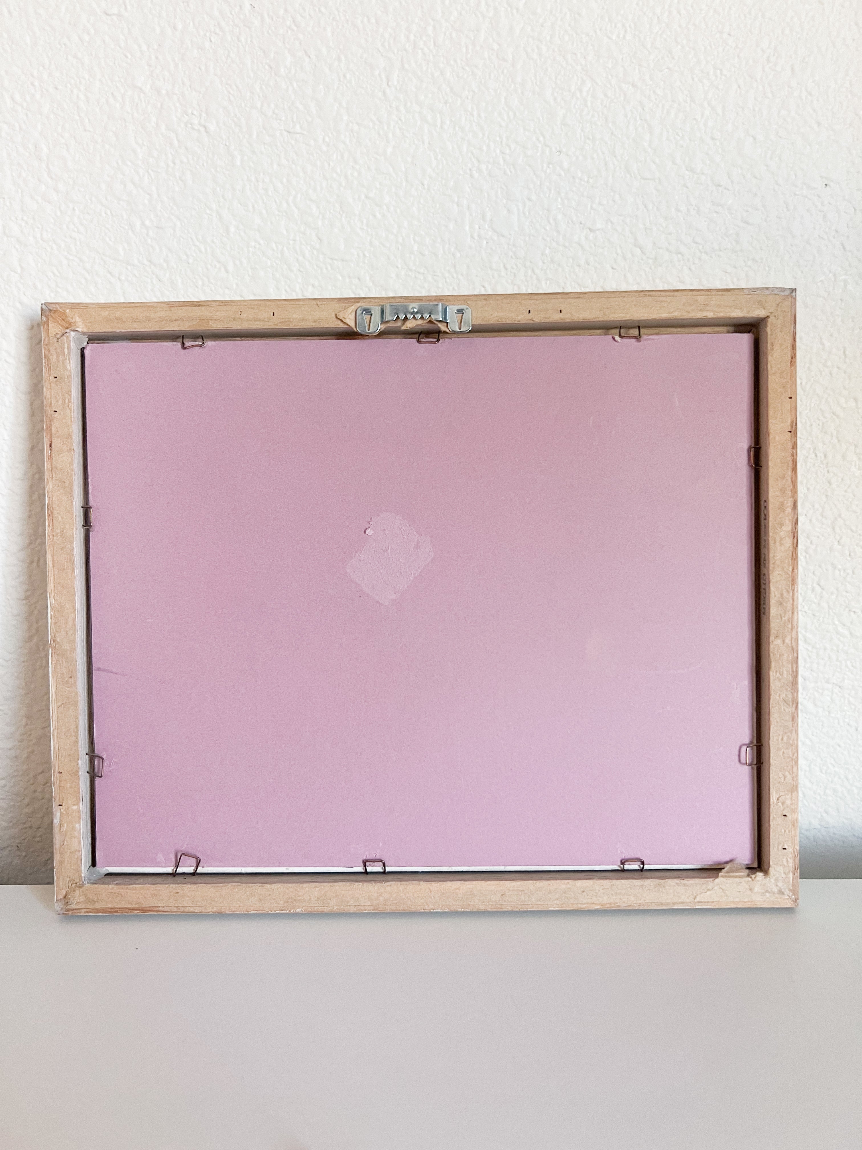 Framed Seashell Print