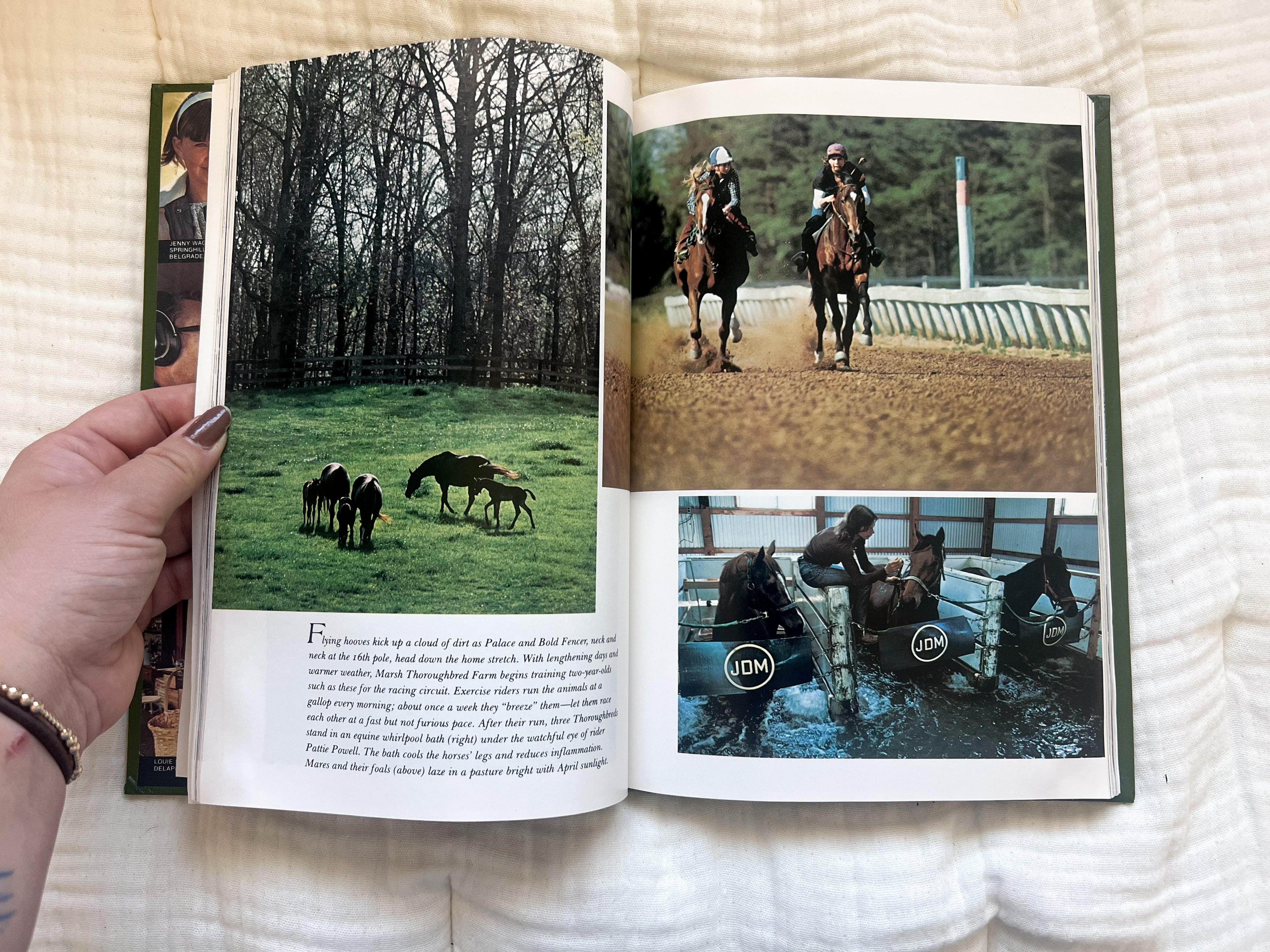 Back Roads America Coffee Table Book