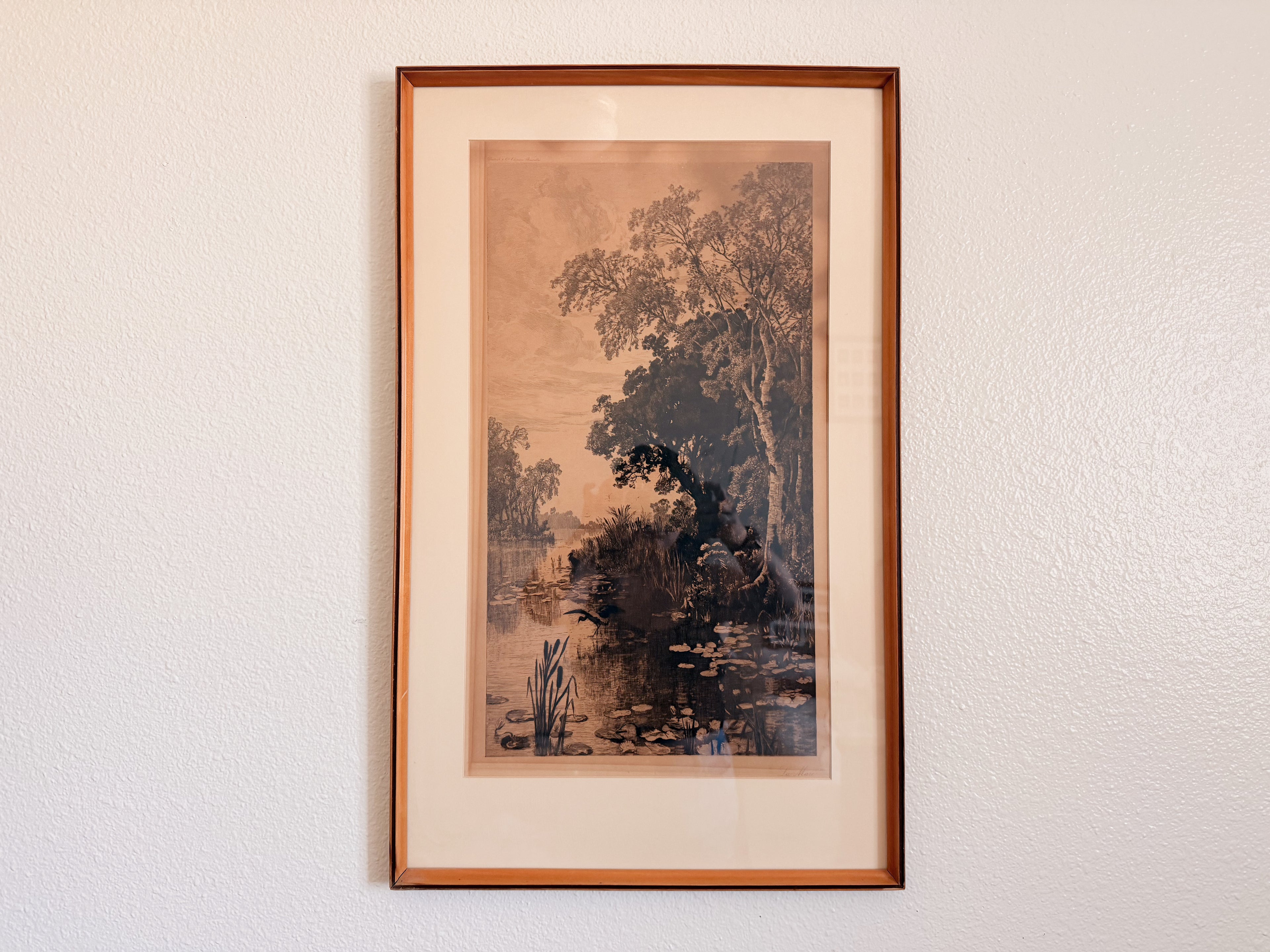 French Pond Framed Print