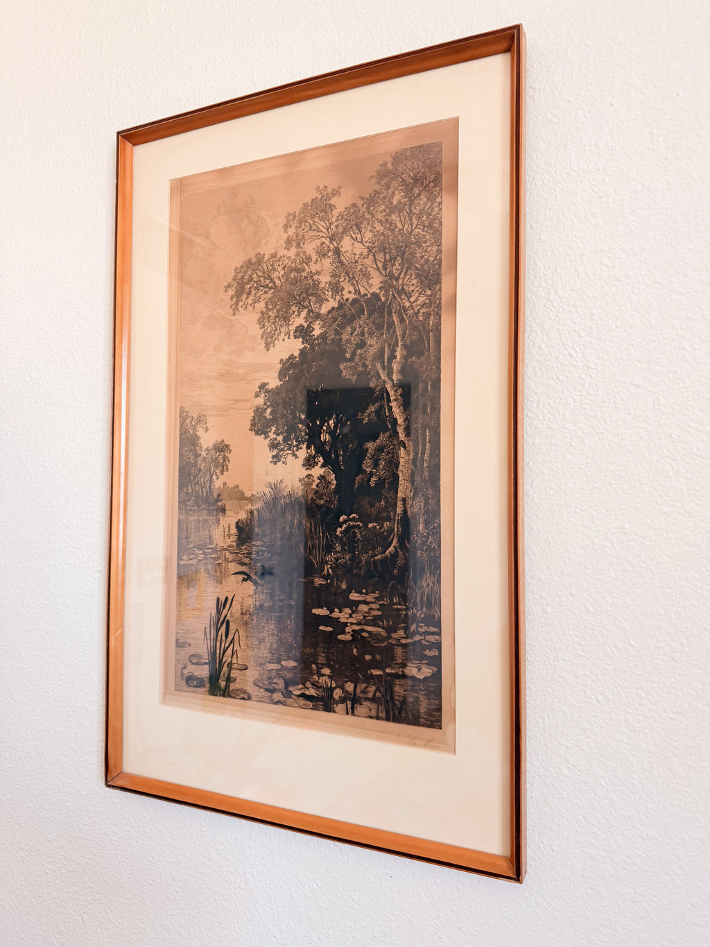 French Pond Framed Print