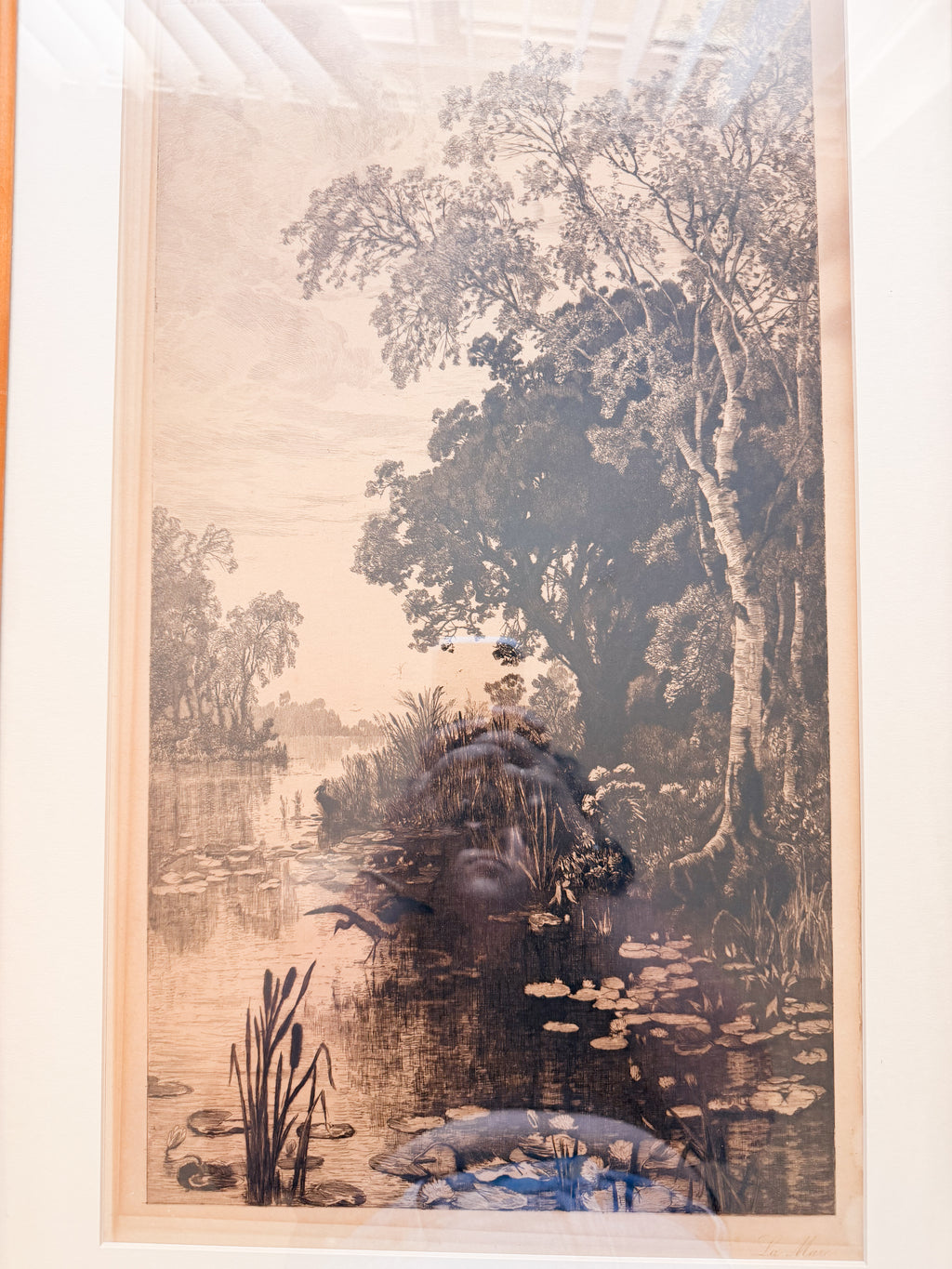 French Pond Framed Print