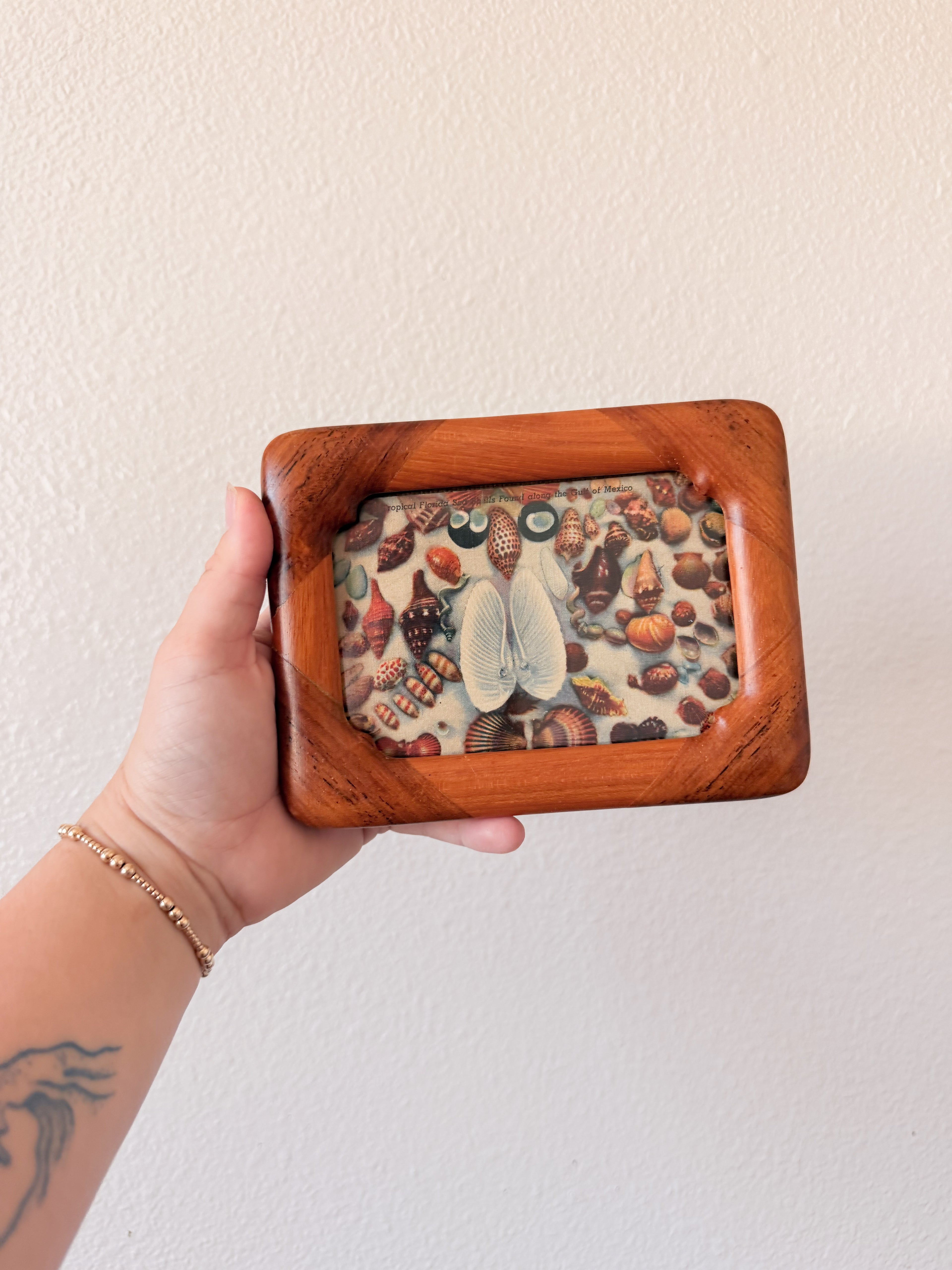 Seashell Postcard in Teakwood Frame