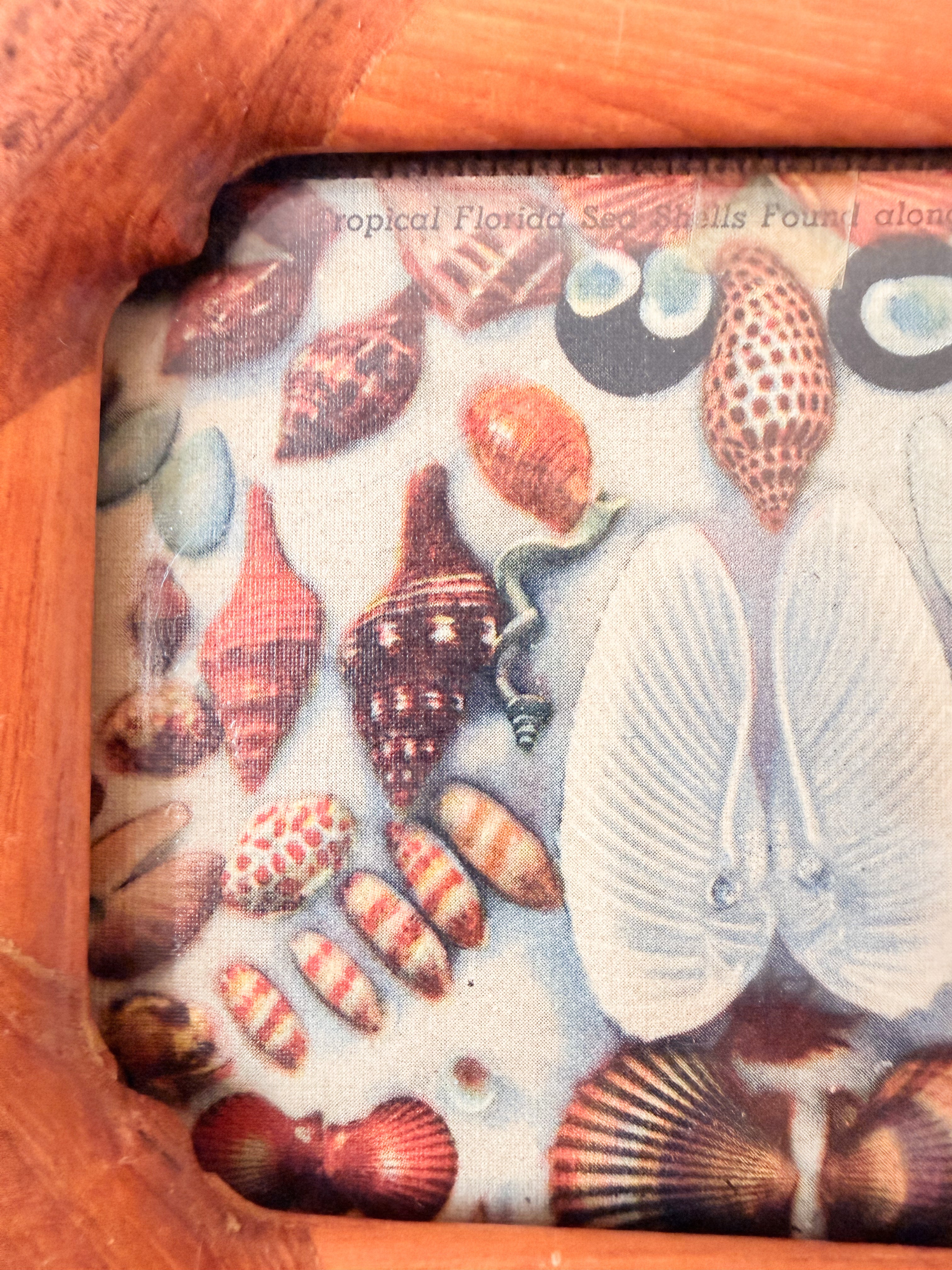 Seashell Postcard in Teakwood Frame