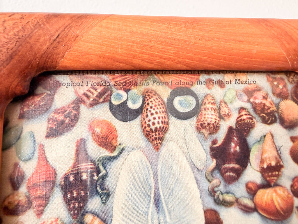 Seashell Postcard in Teakwood Frame