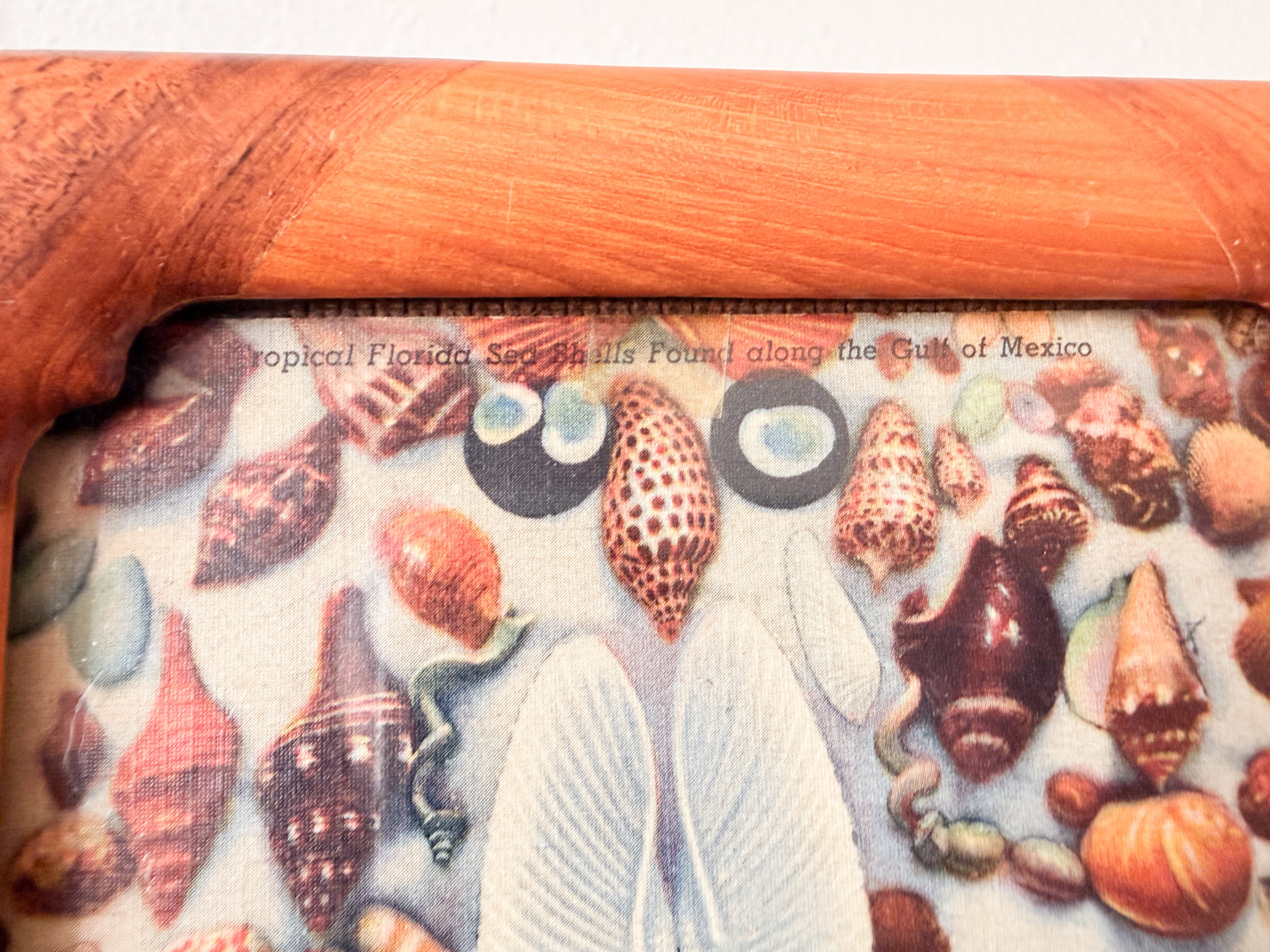 Seashell Postcard in Teakwood Frame