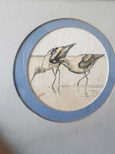 Sandpiper Watercolor