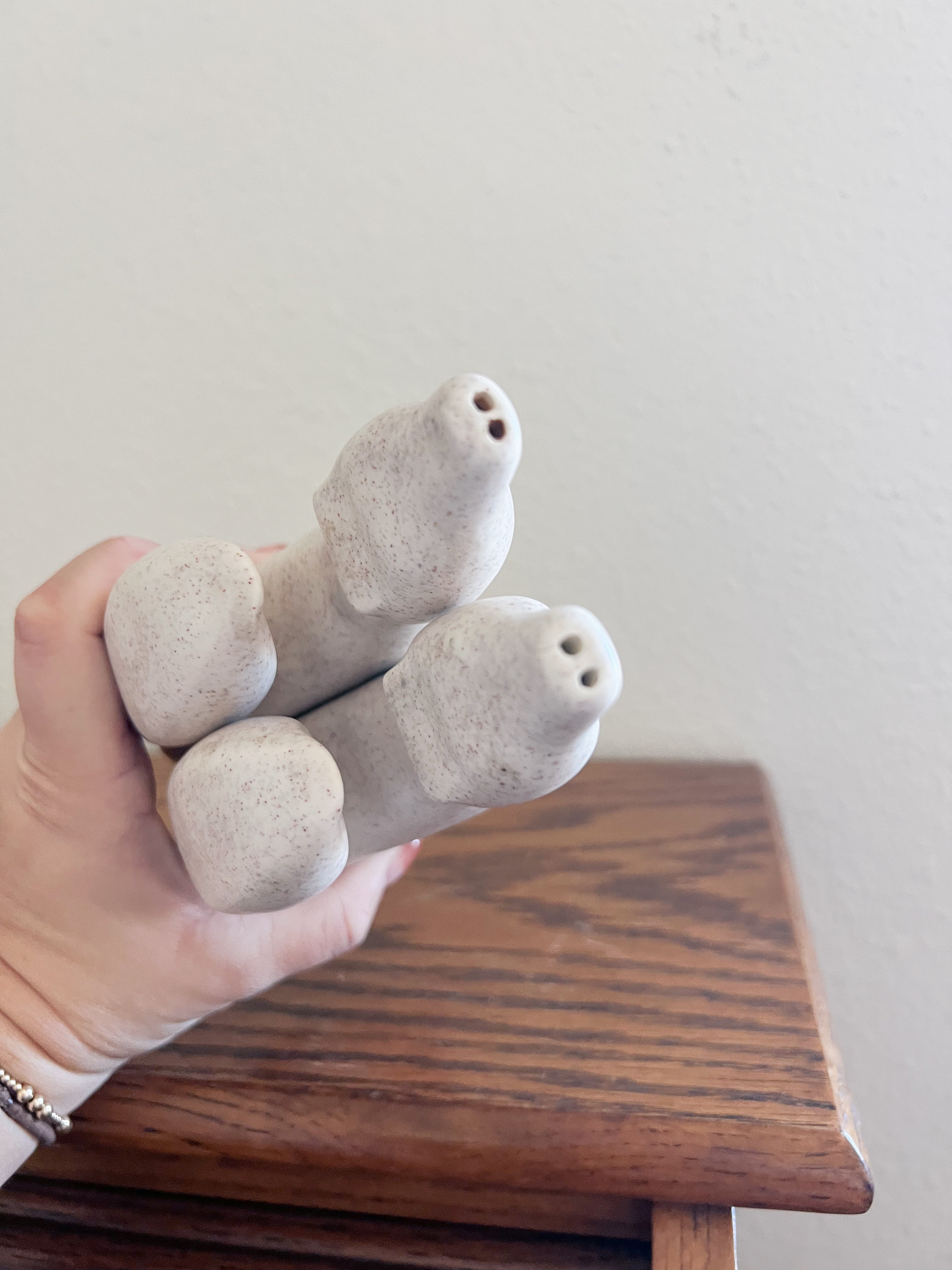 Ceramic Coyote Shakers