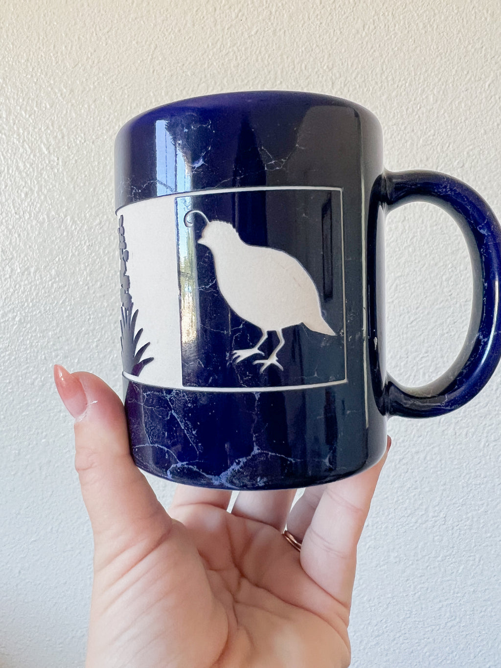 Southwestern Coffee Mug