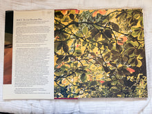 Load image into Gallery viewer, Maui Coffee Table Book
