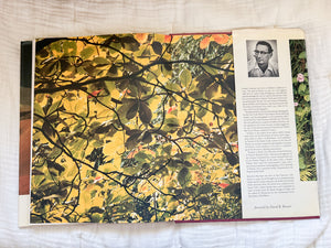 Maui Coffee Table Book