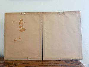 Southwestern Bathroom Print Set