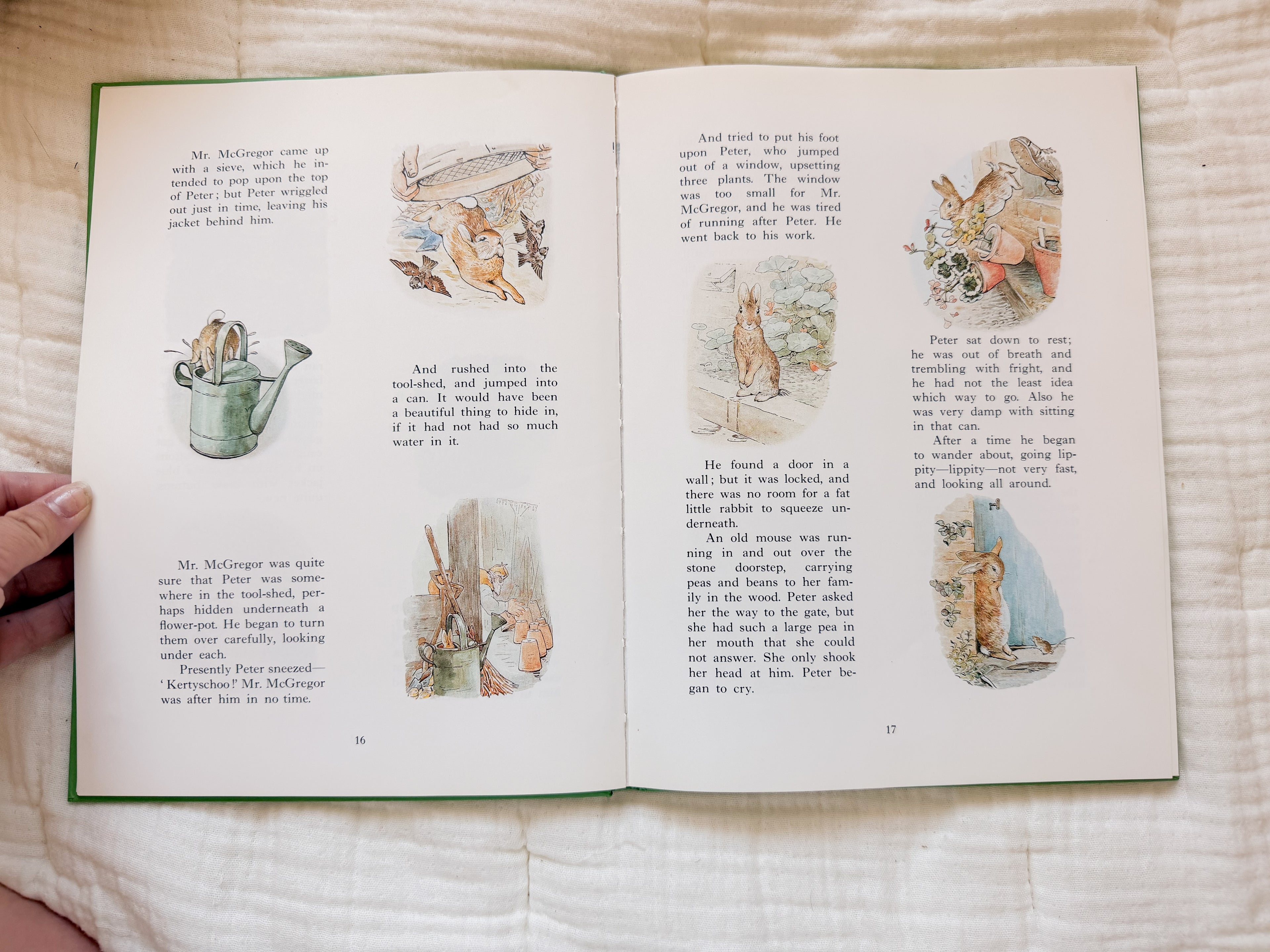 Beatrix Potter Treasury