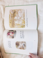 Beatrix Potter Treasury