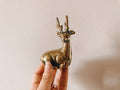 Little Brass Deer
