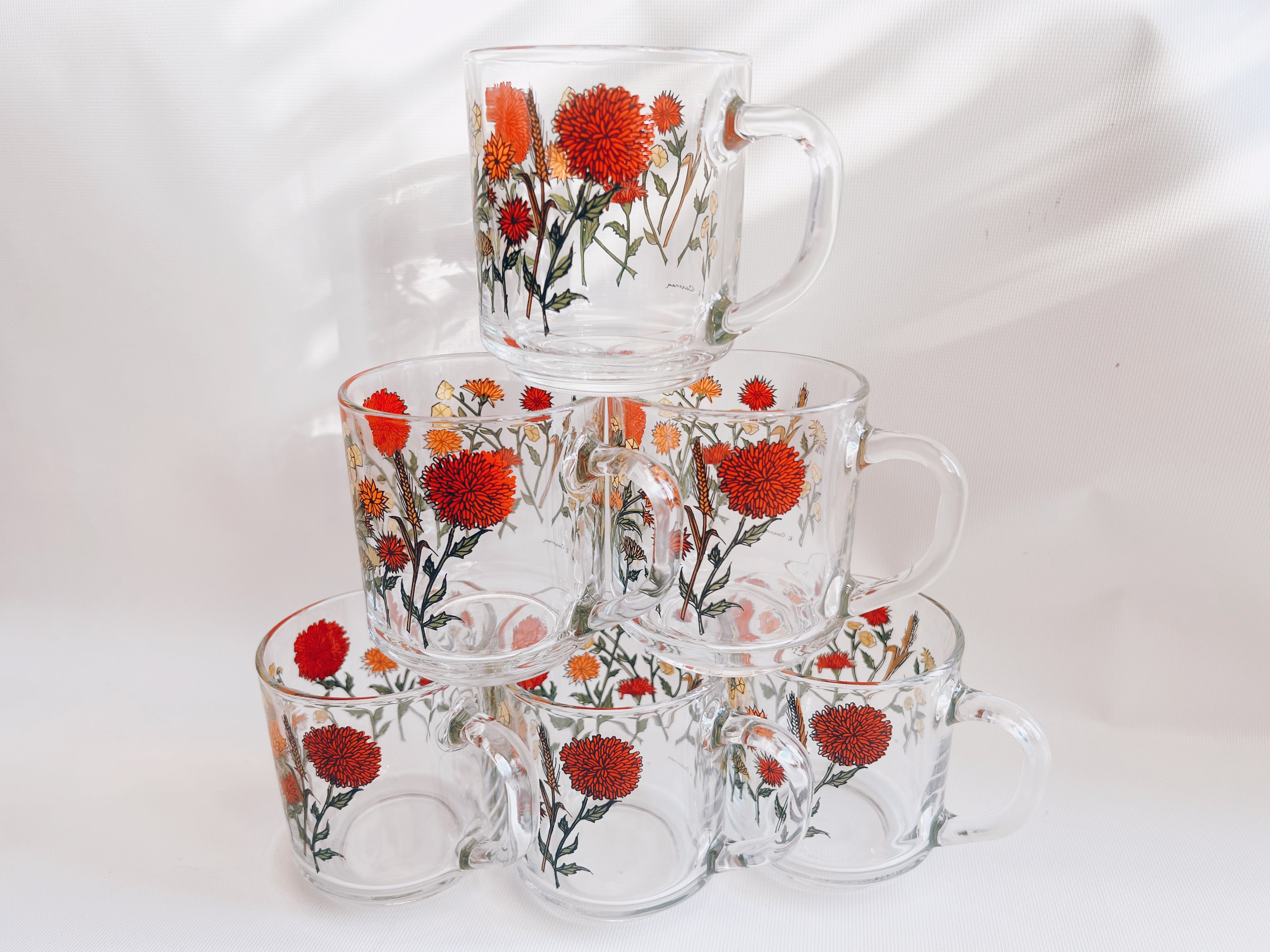 Set of 6 Glass Wildflower Coffee Mugs
