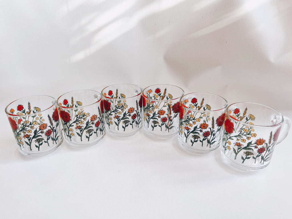 Set of 6 Glass Wildflower Coffee Mugs