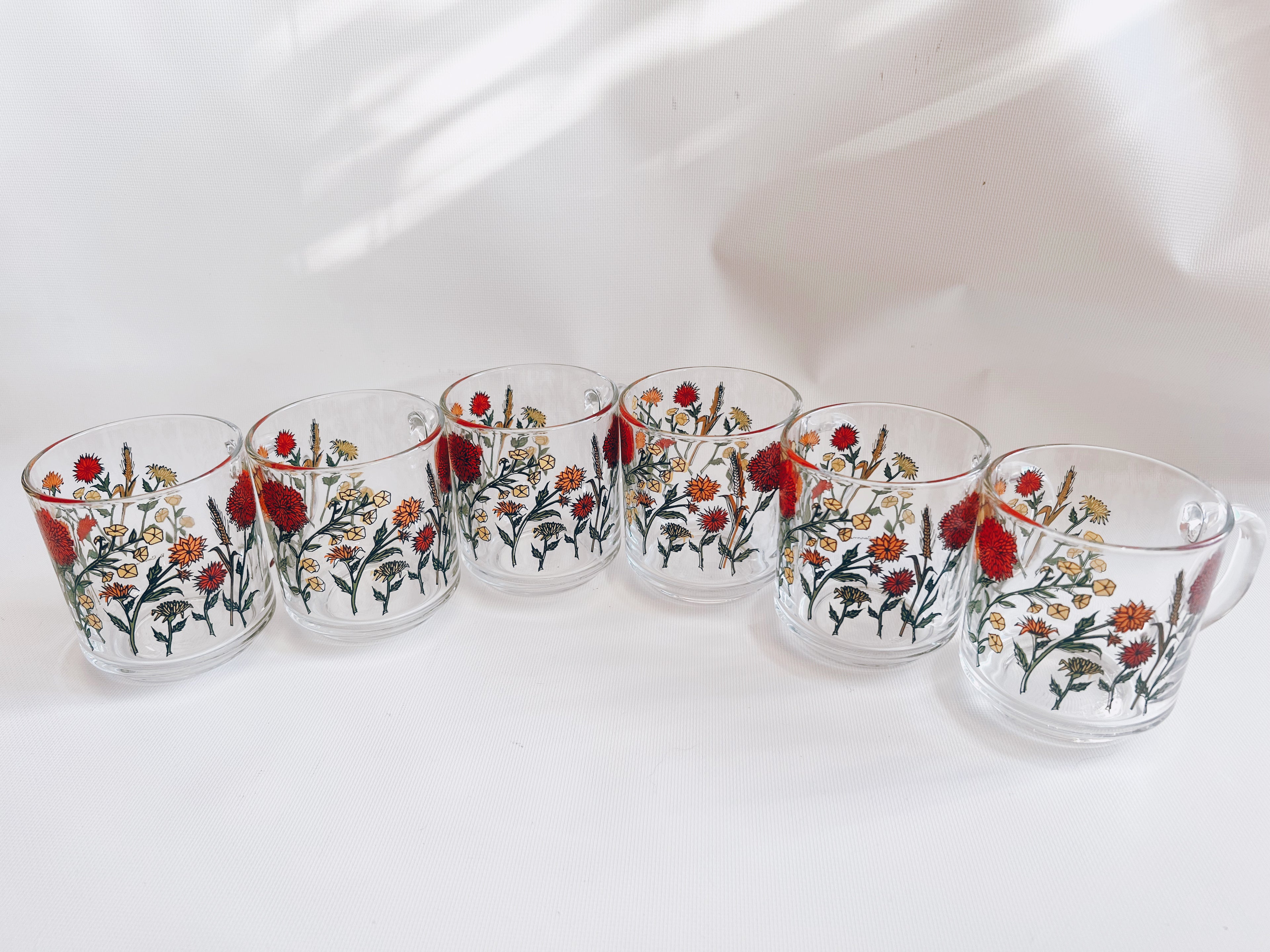Set of 6 Glass Wildflower Coffee Mugs