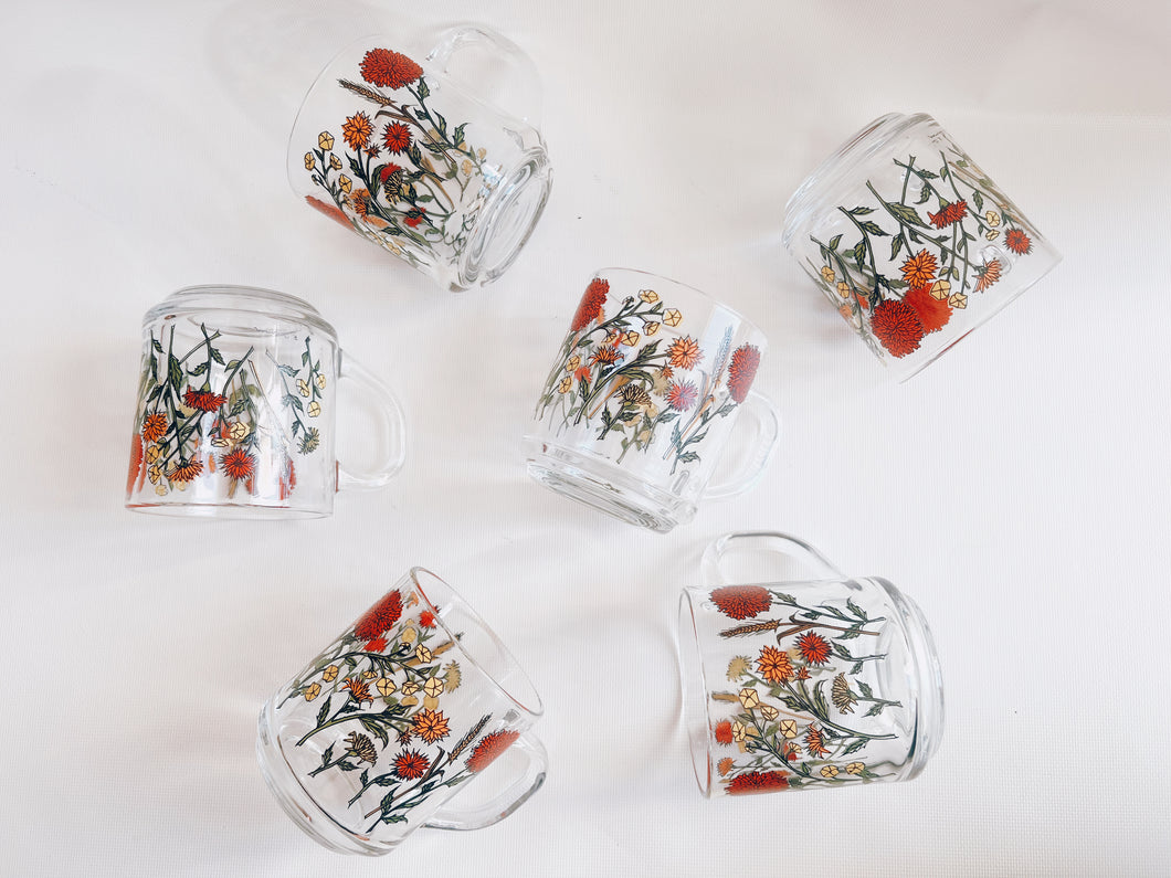 Set of 6 Glass Wildflower Coffee Mugs