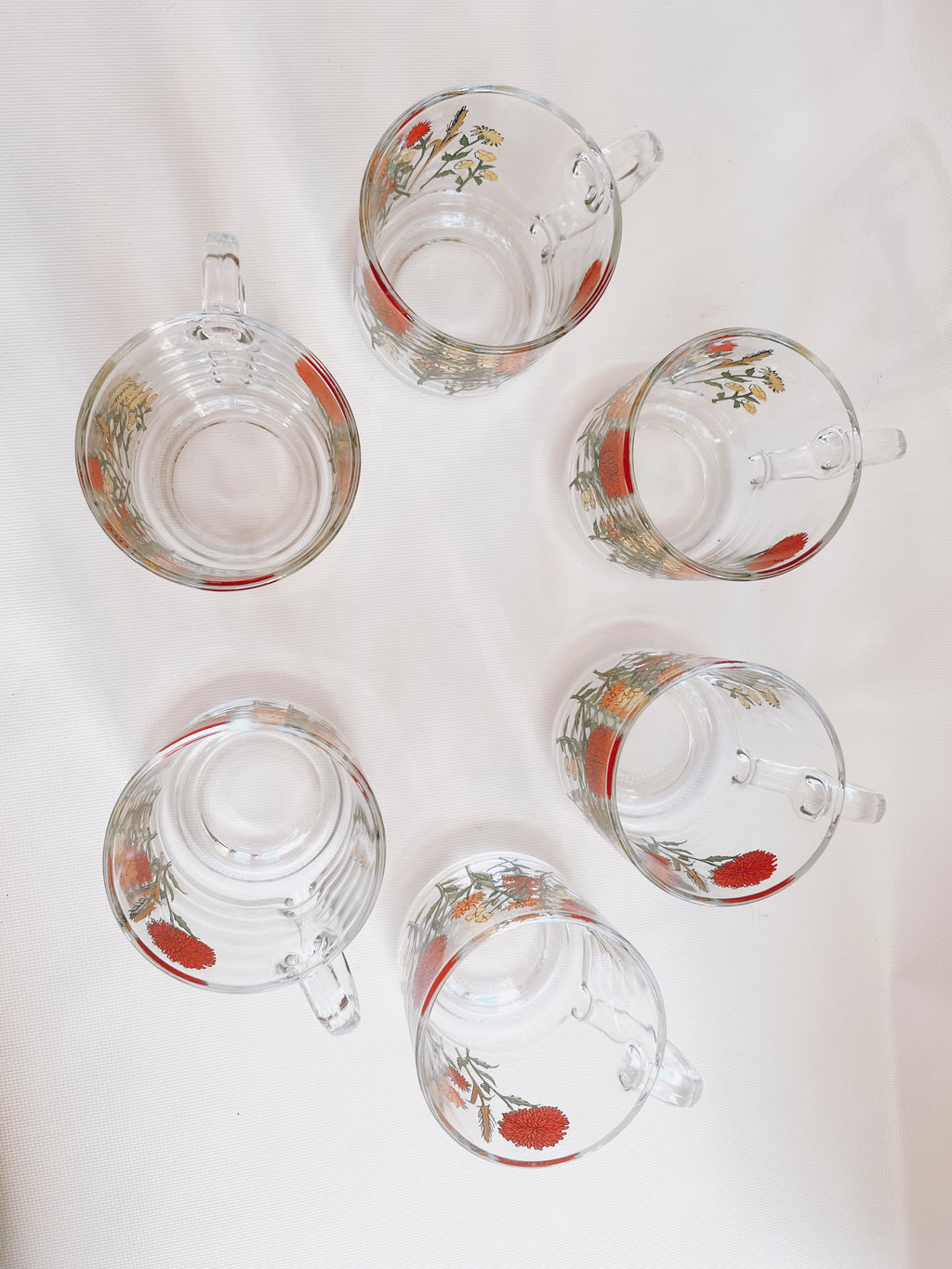 Set of 6 Glass Wildflower Coffee Mugs