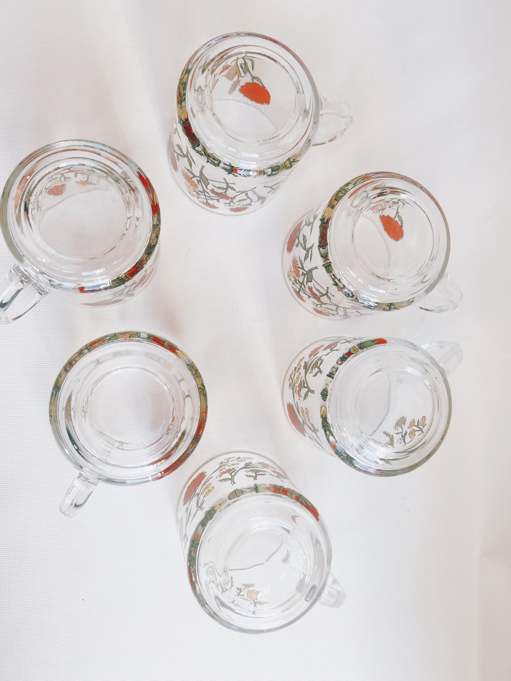 Set of 6 Glass Wildflower Coffee Mugs