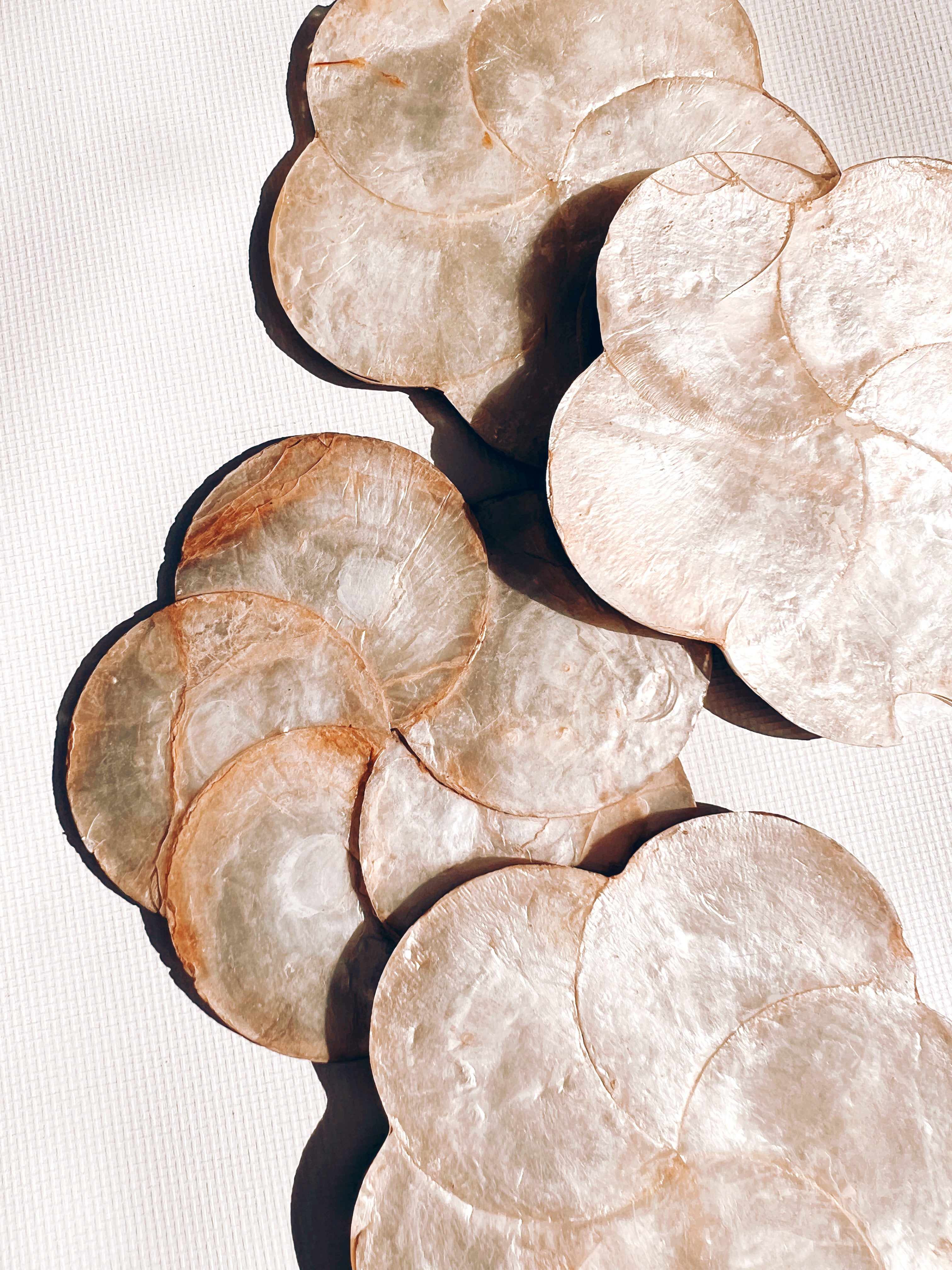 Set of 4 Capiz Coasters