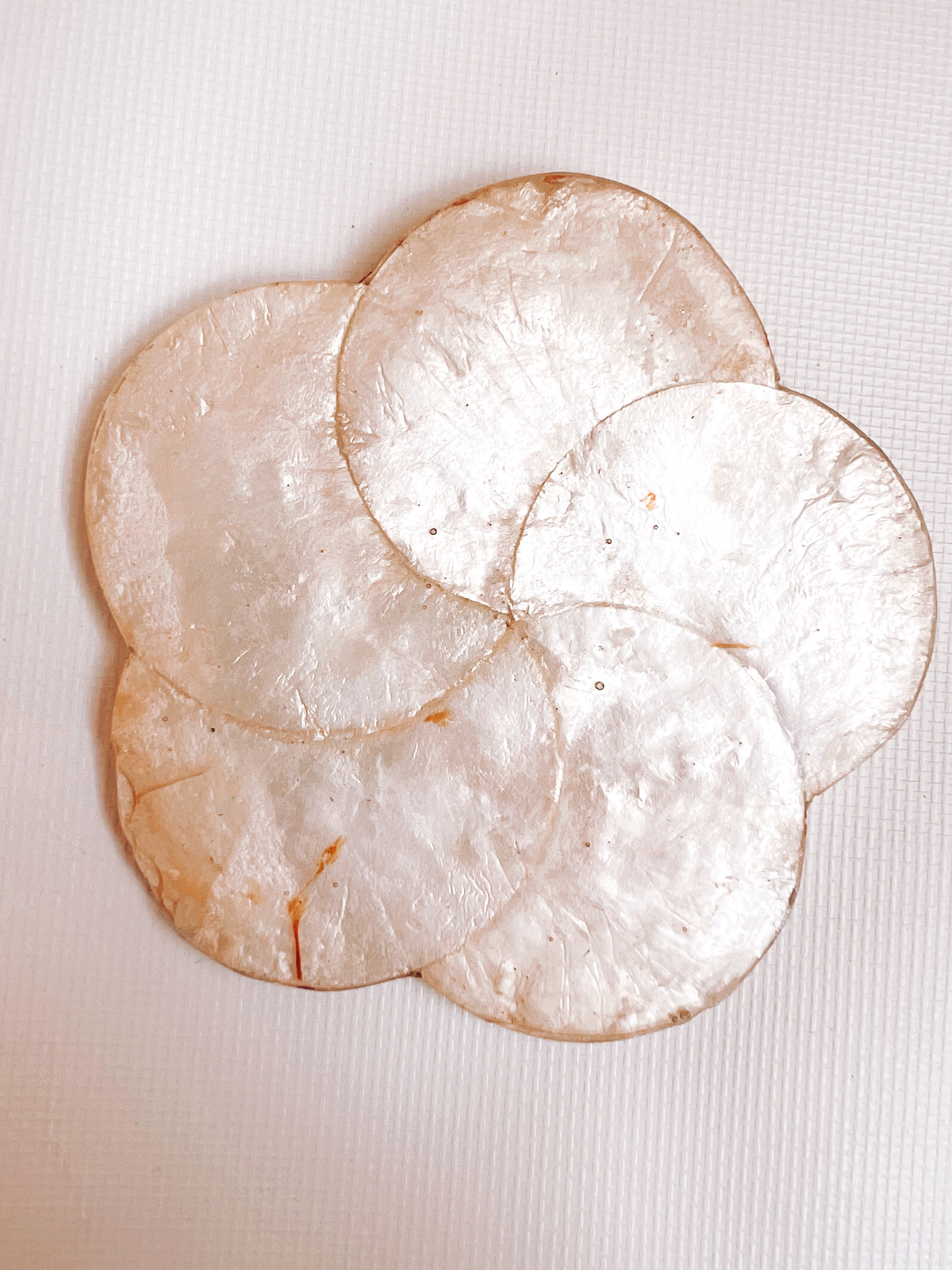 Set of 4 Capiz Coasters
