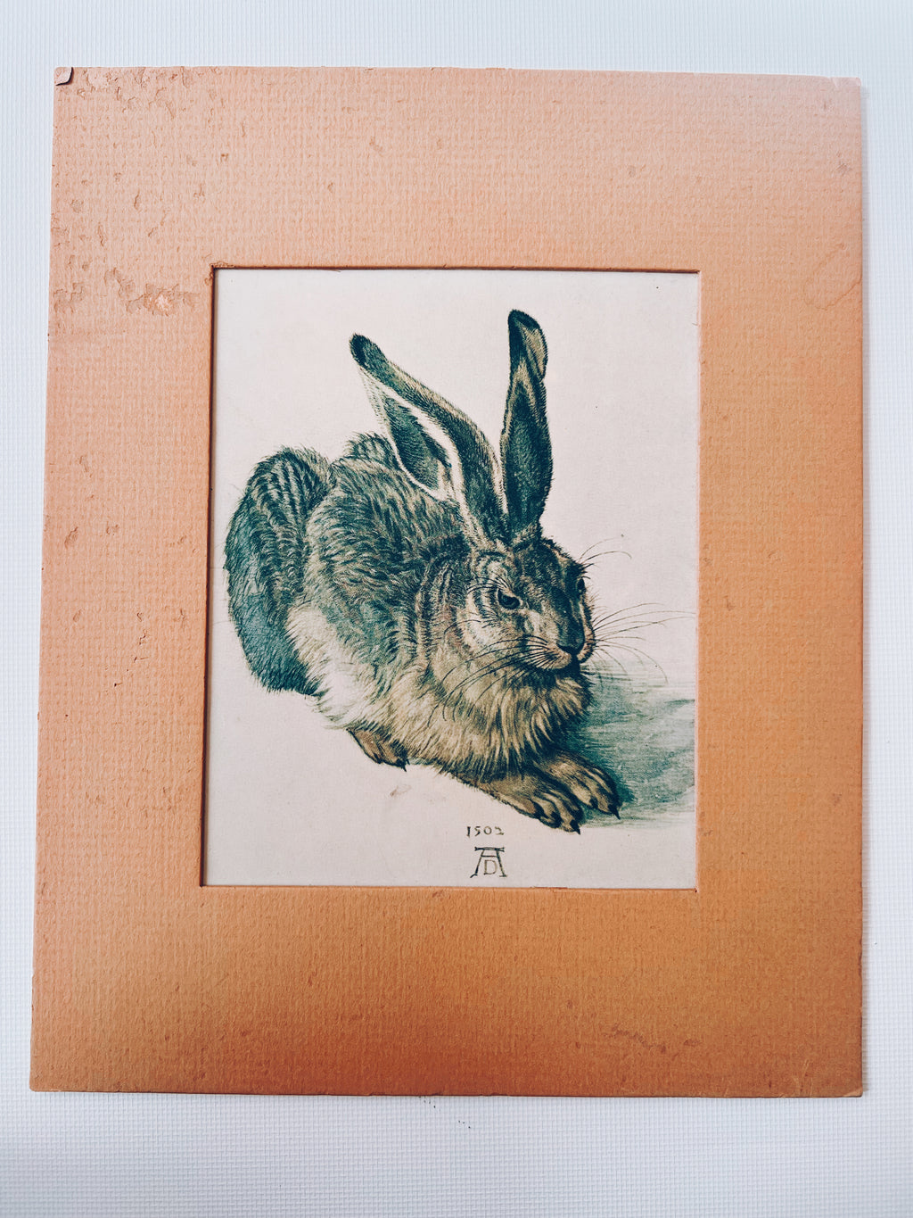 Vintage Matted Rabbit Print