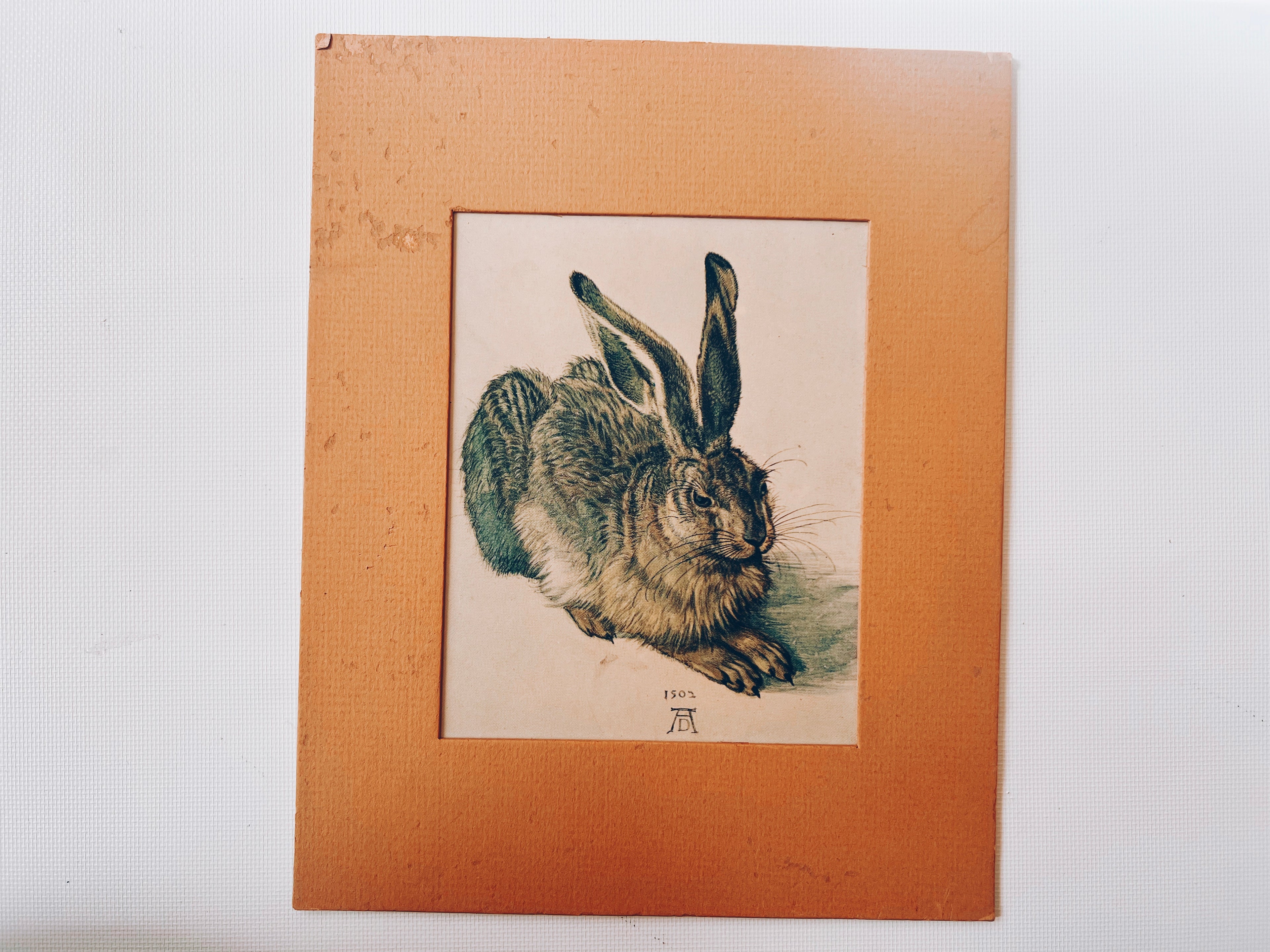 Vintage Matted Rabbit Print