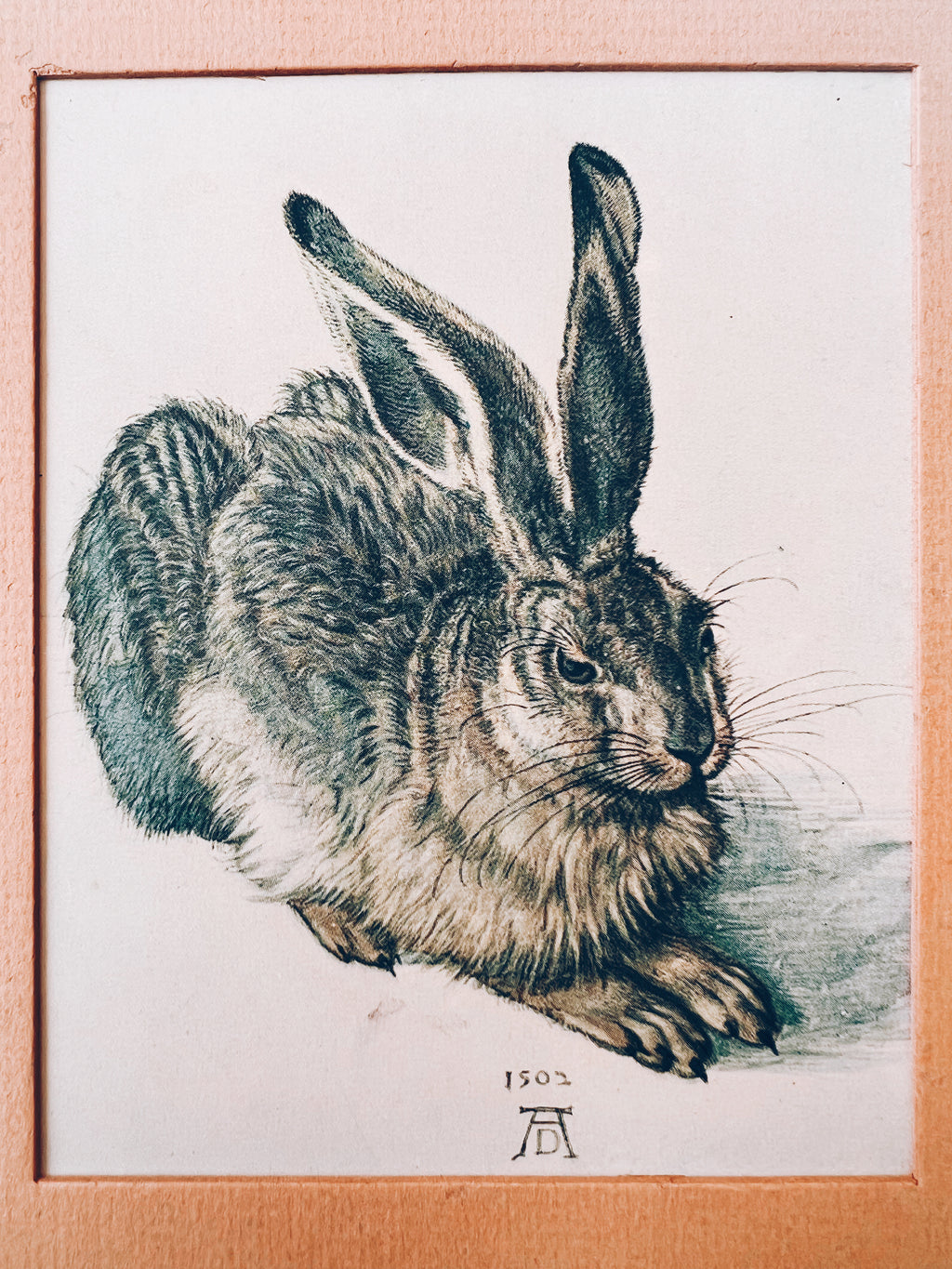 Vintage Matted Rabbit Print