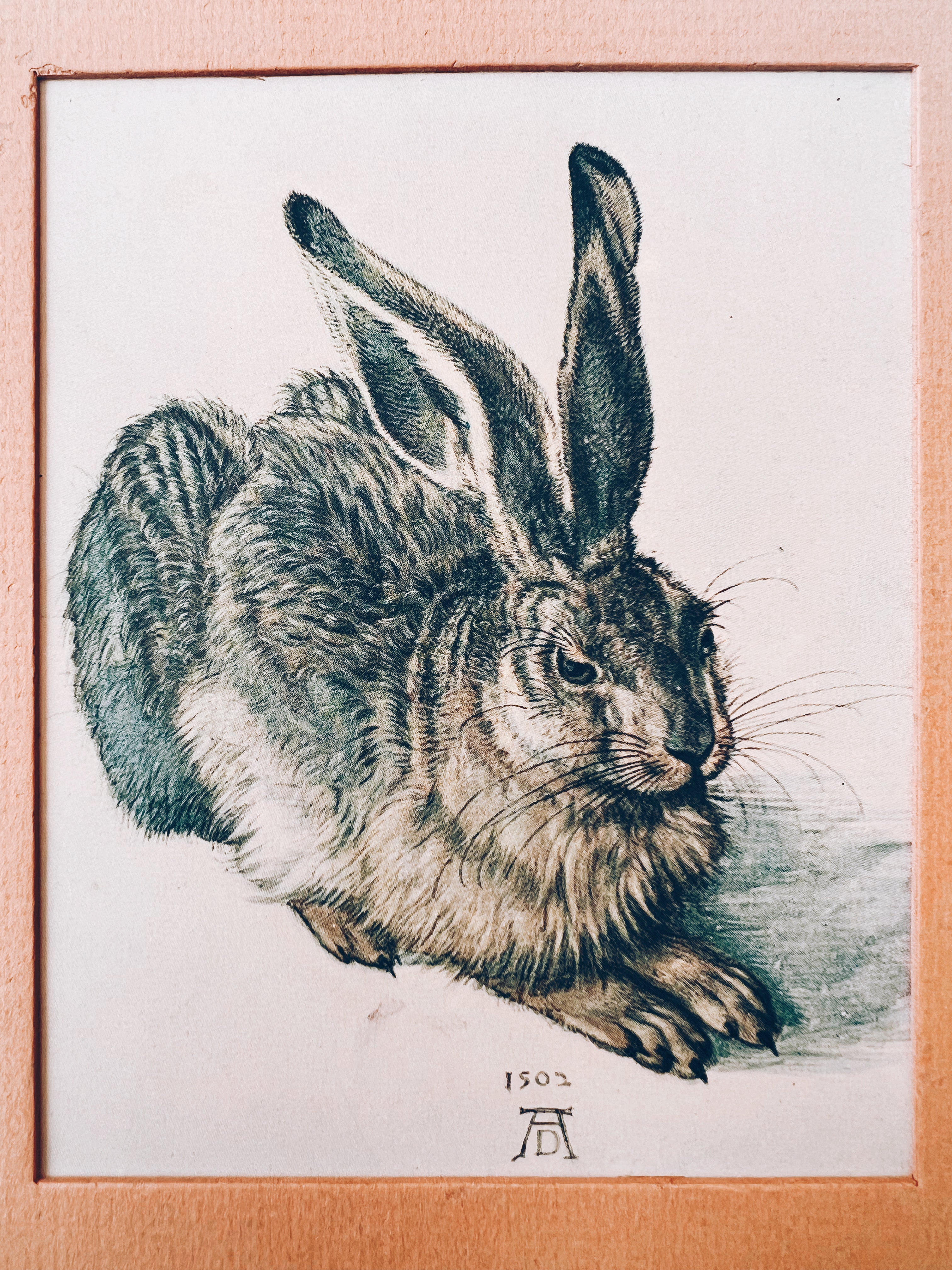 Vintage Matted Rabbit Print
