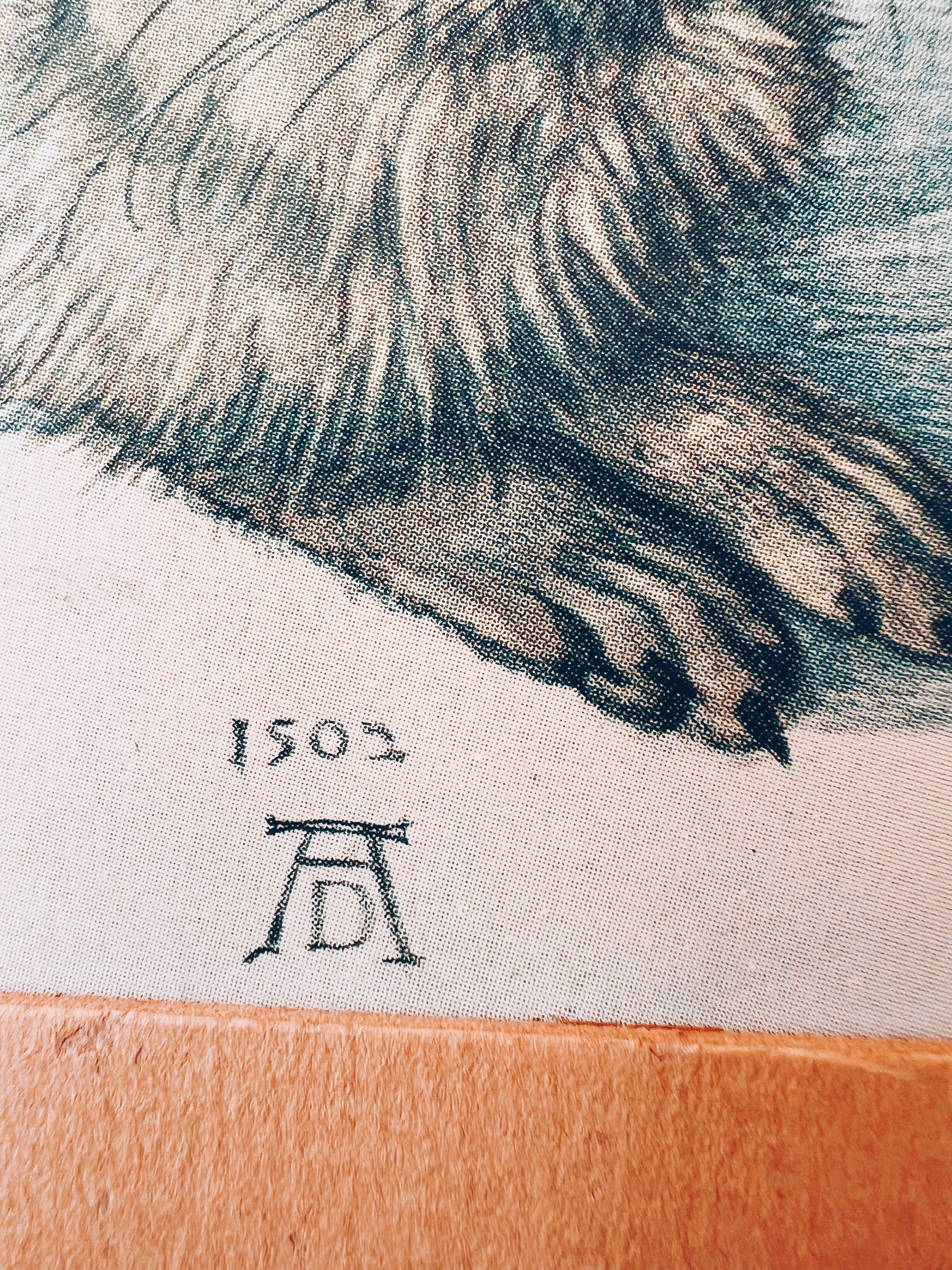 Vintage Matted Rabbit Print