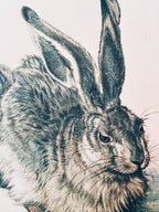 Vintage Matted Rabbit Print