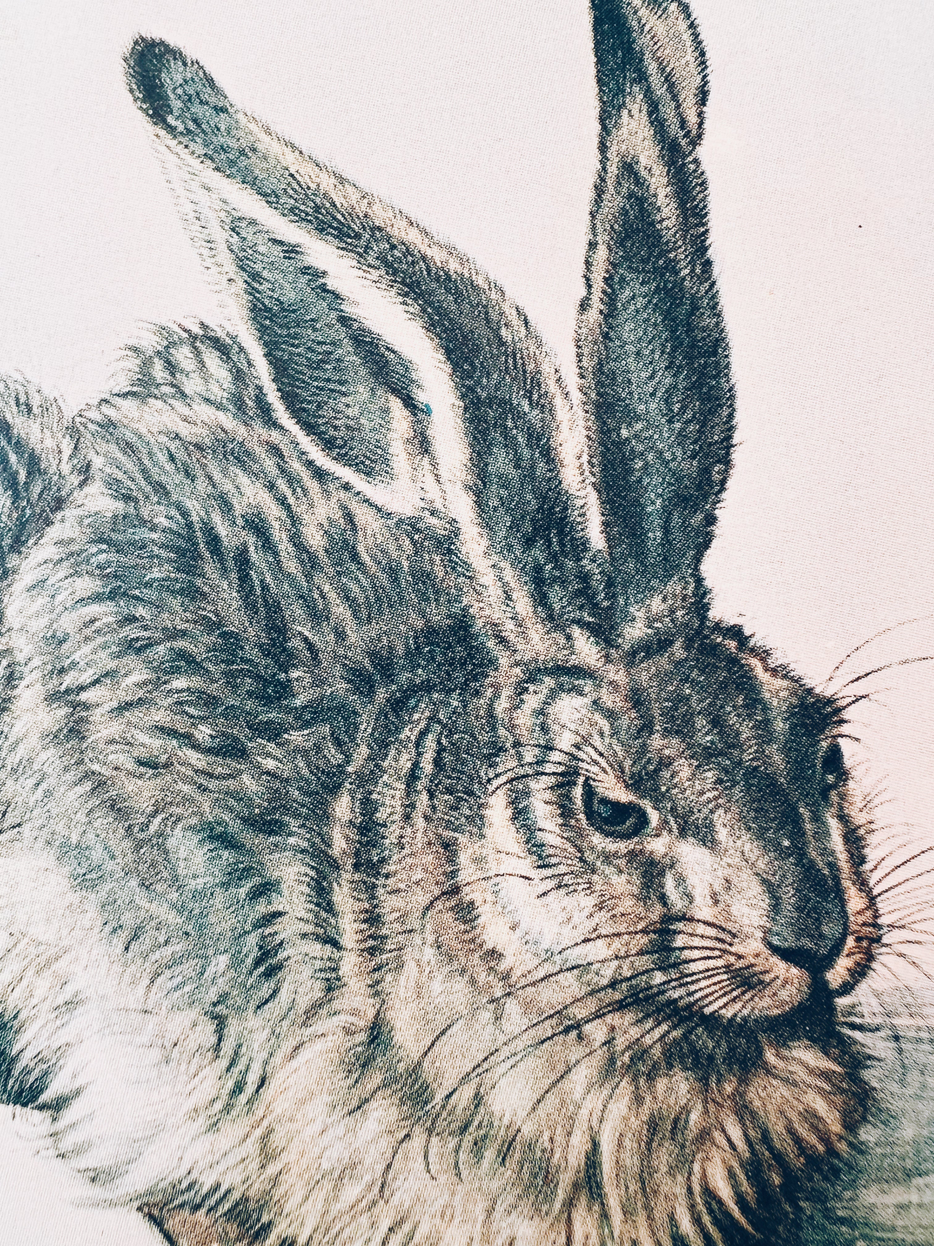 Vintage Matted Rabbit Print