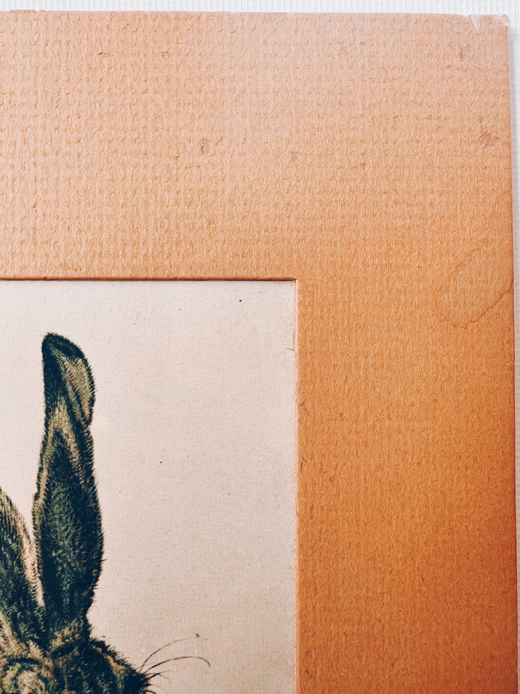 Vintage Matted Rabbit Print