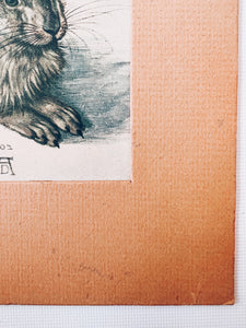 Vintage Matted Rabbit Print