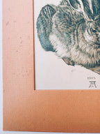 Vintage Matted Rabbit Print