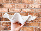 Ivory Clamshell Bowl