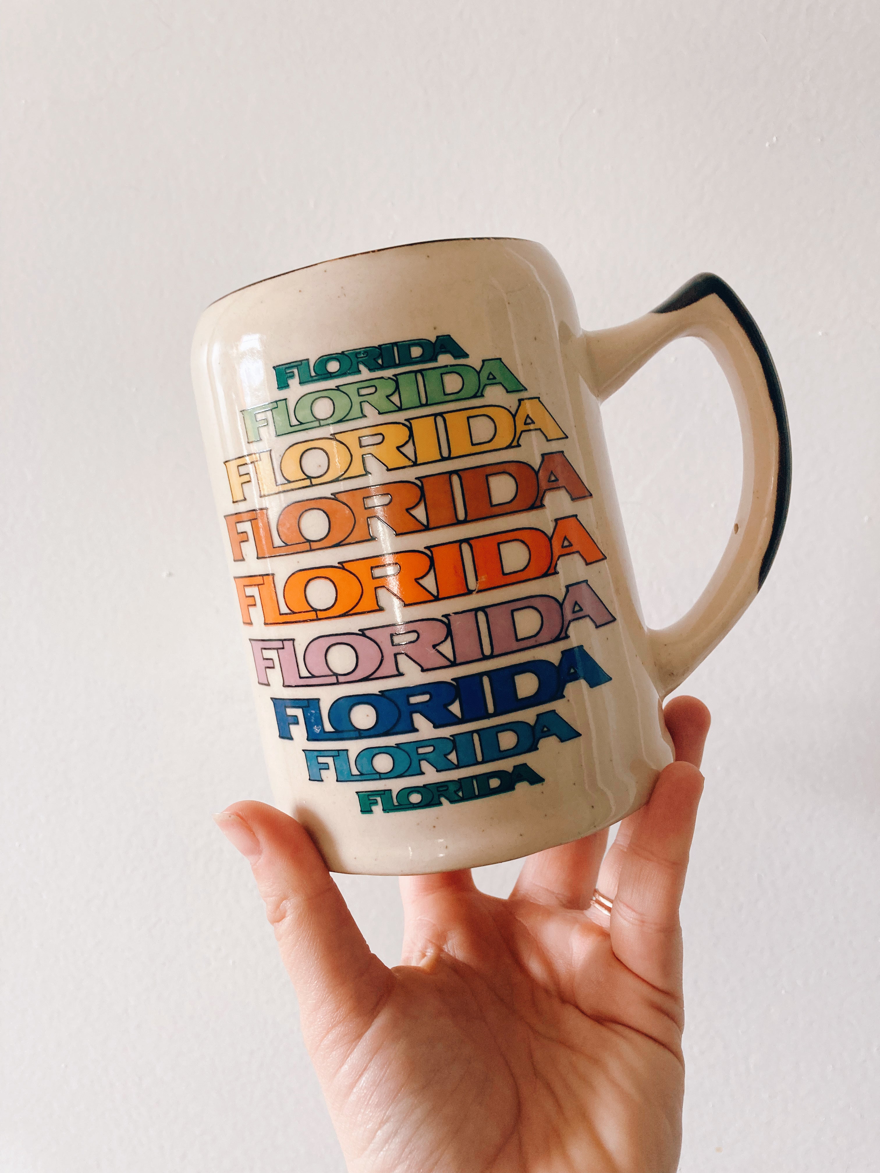 Rainbow Florida Stein Mug
