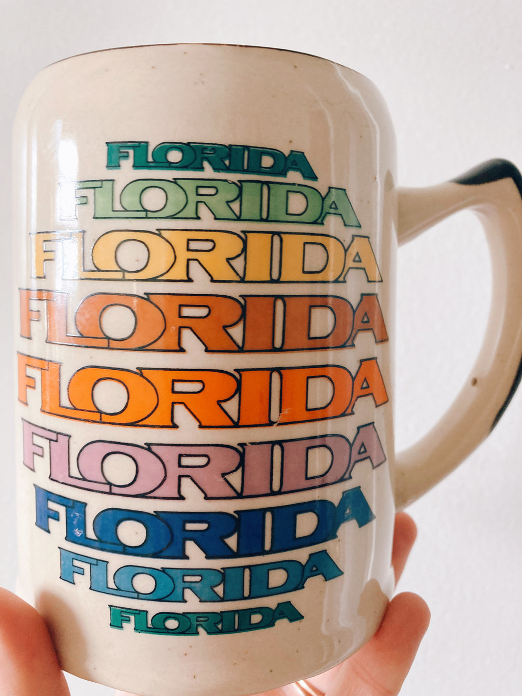 Rainbow Florida Stein Mug