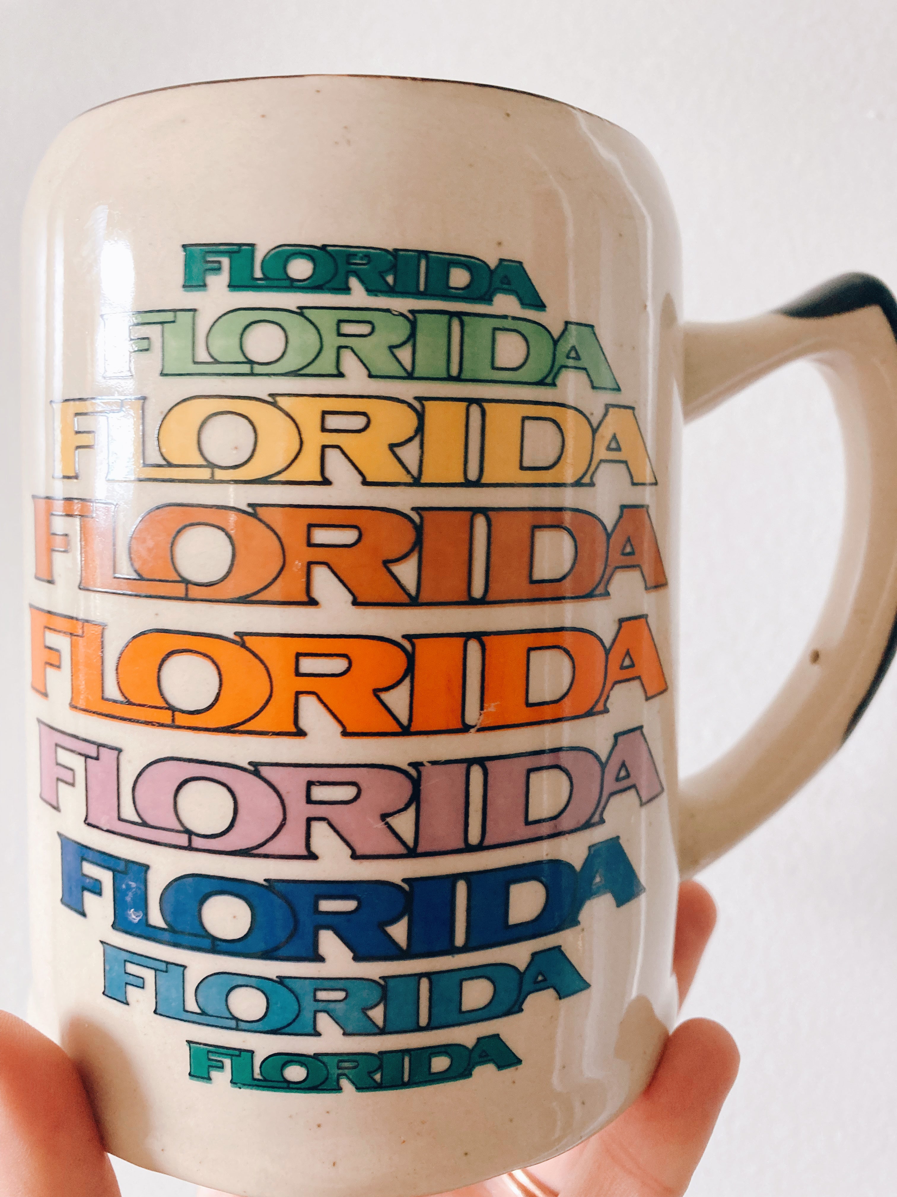 Rainbow Florida Stein Mug