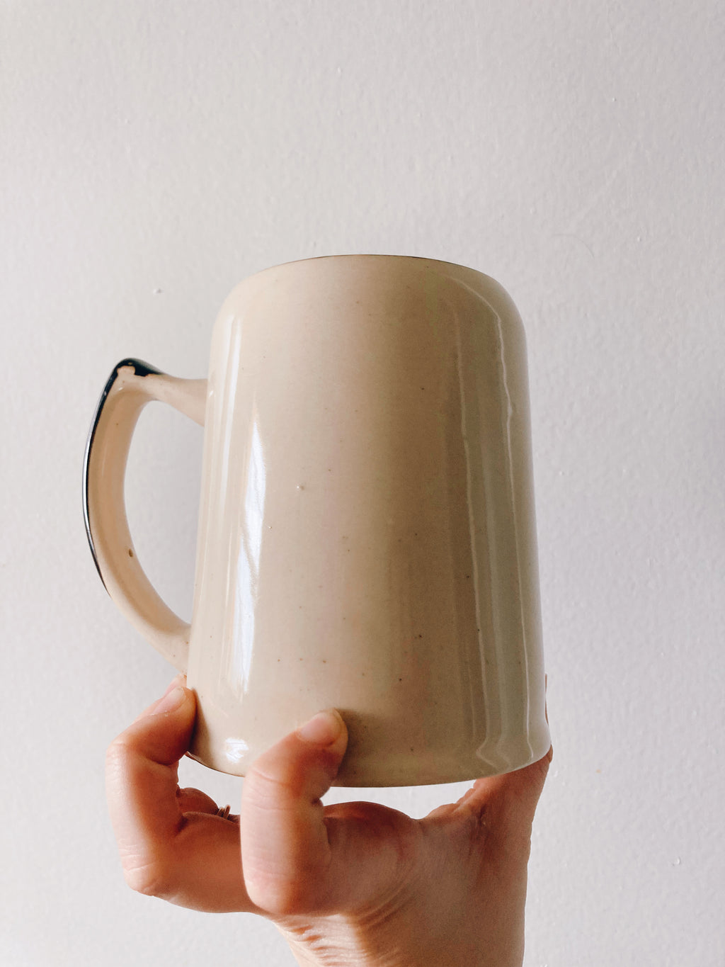 Rainbow Florida Stein Mug