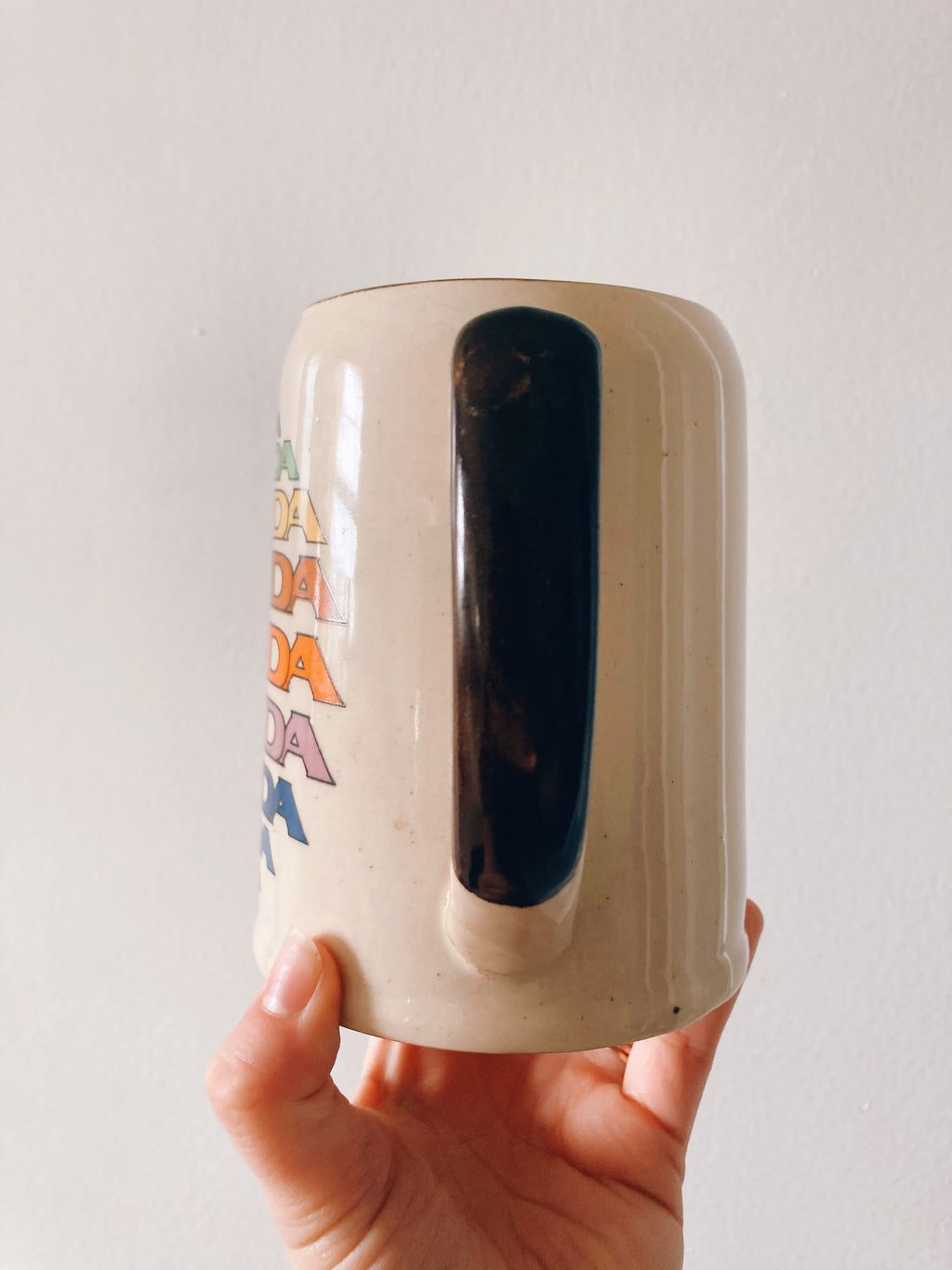 Rainbow Florida Stein Mug