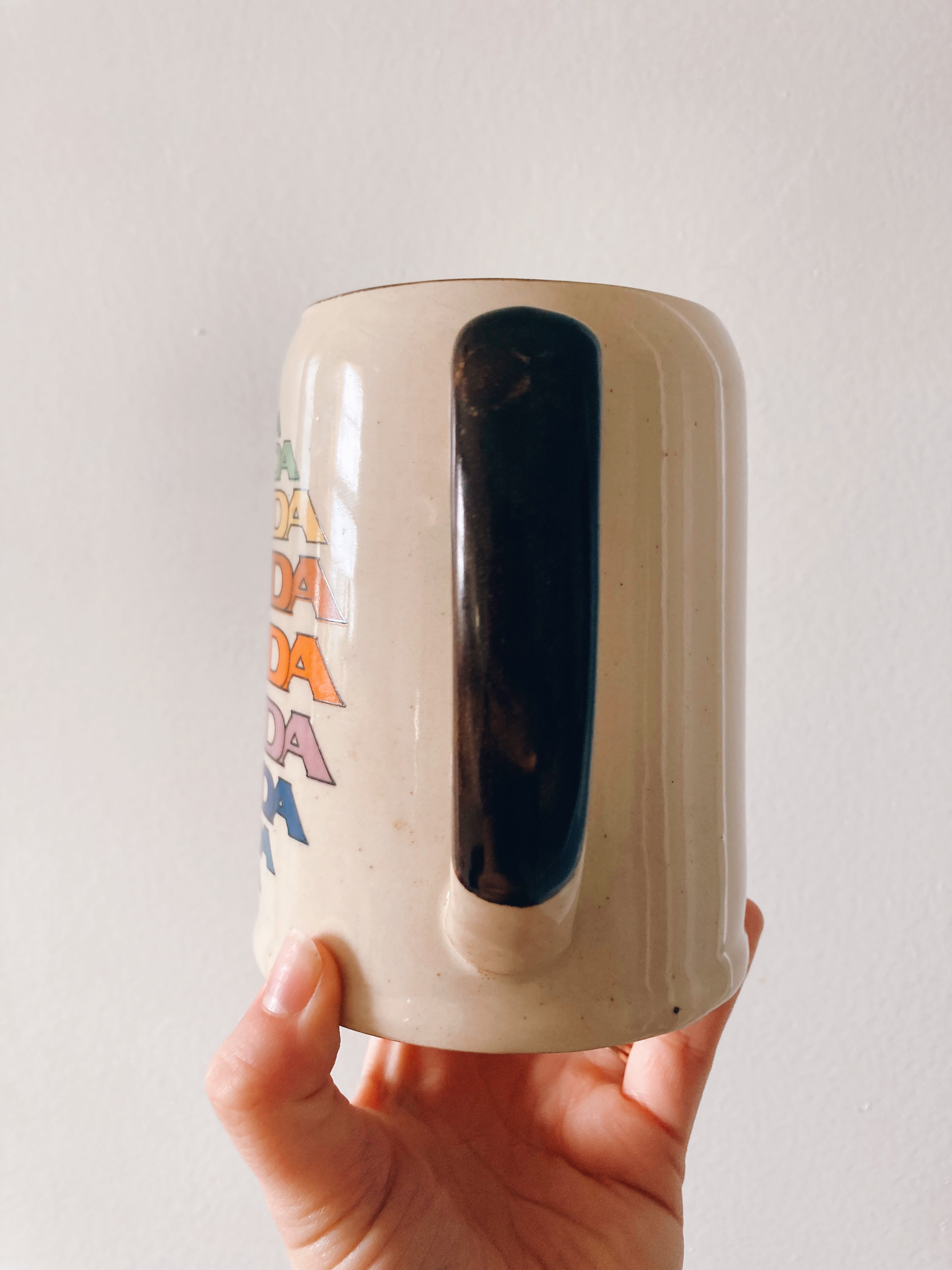 Rainbow Florida Stein Mug